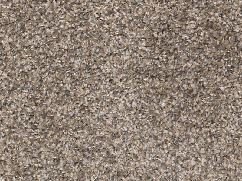 Weathered - Carpet