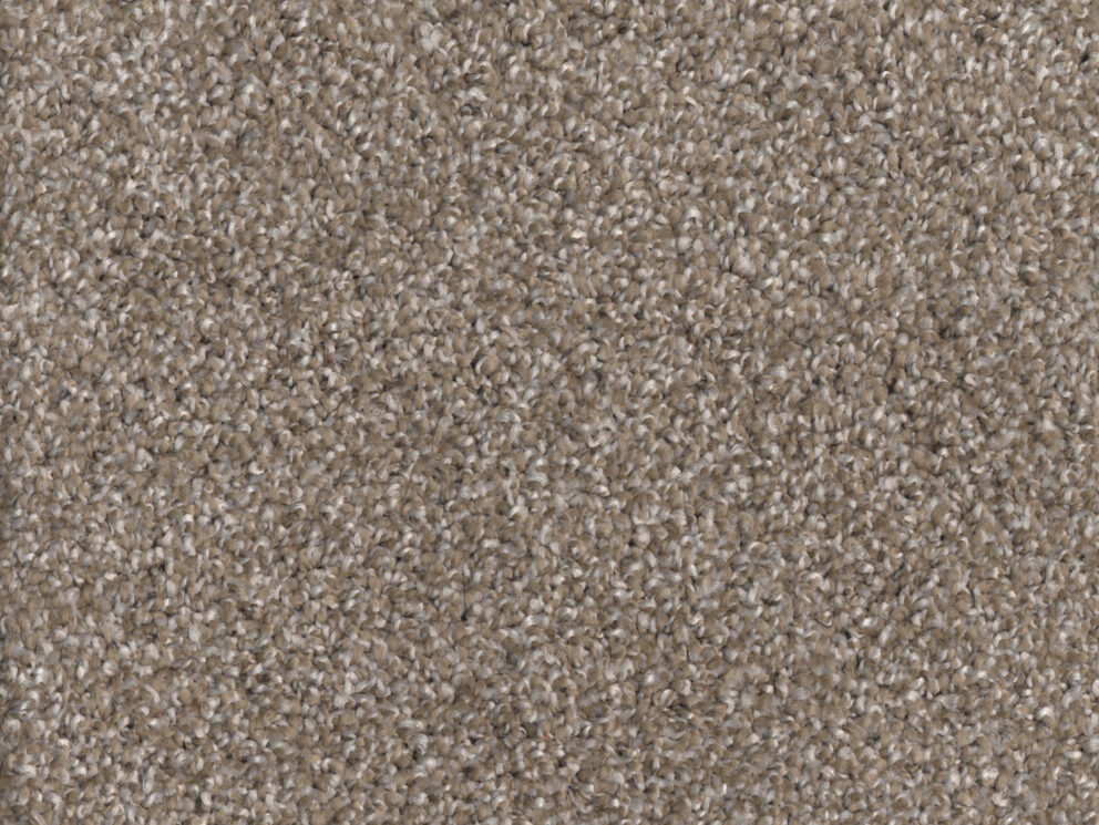 Canyon Cove - Carpet